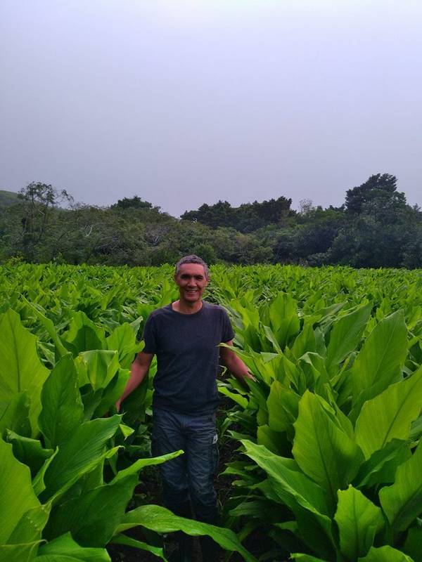 agriculture-jardin-botanique-saint-philippe-jardin-des-parfums-et-des-epices_1