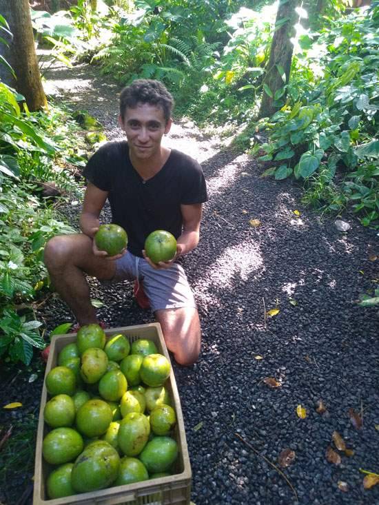 Écotourisme près de La Réunion