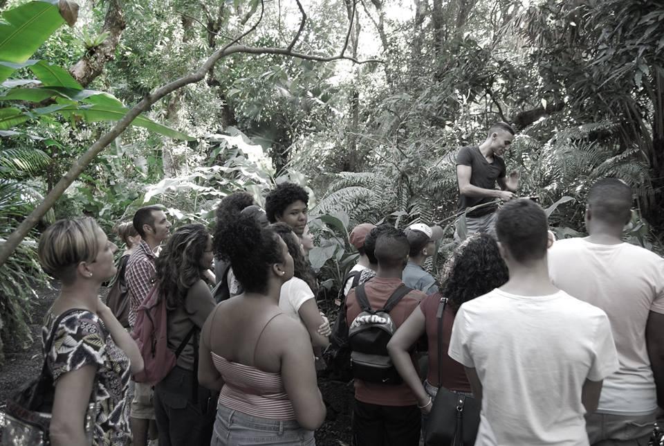 Visite guidée près de La Réunion