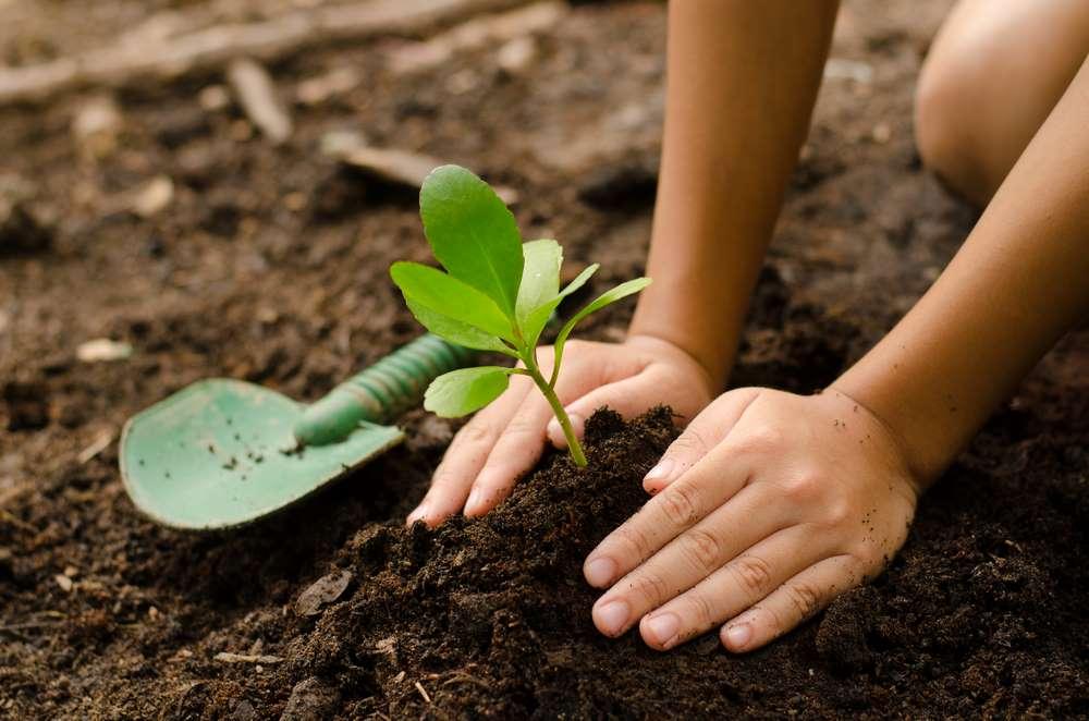 atelier-pedagogique-jardinage-saint-philippe-jardin-des-parfums-et-des-epices
