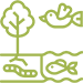 Préservation de la biodiversité de l'Ile de La Réunion